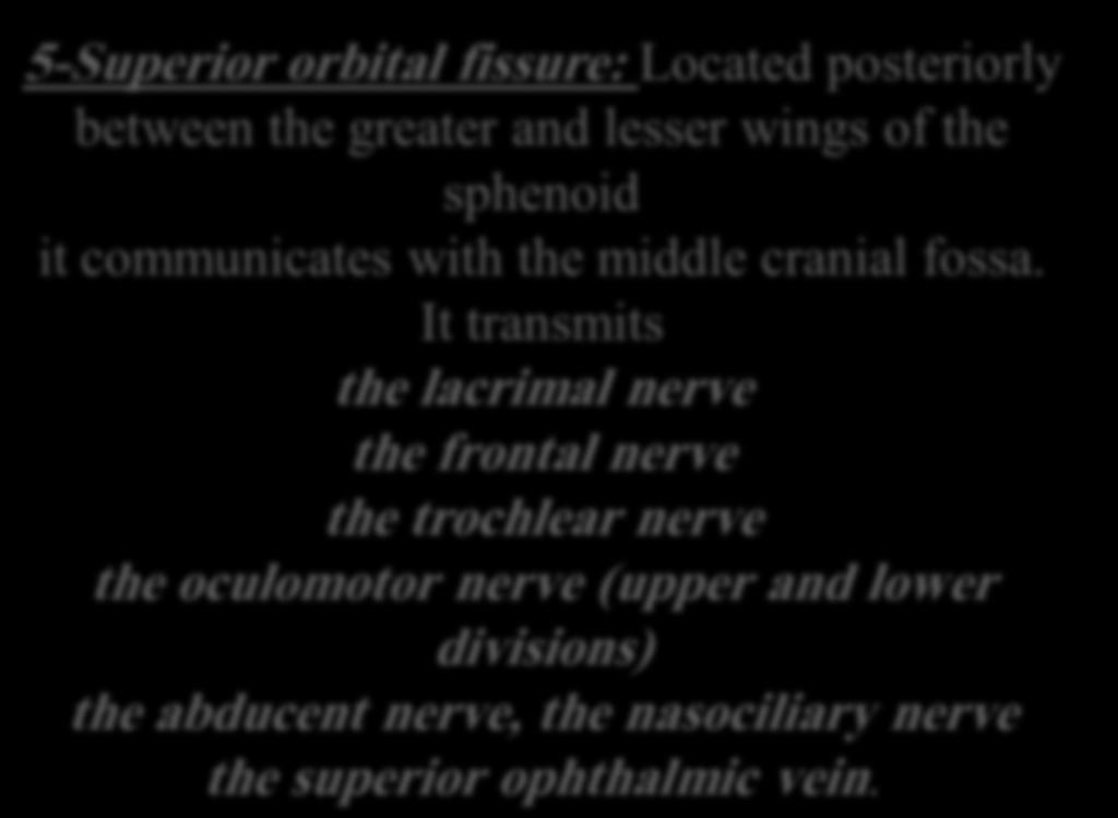 5-Superior orbital fissure: Located posteriorly between the greater and lesser wings