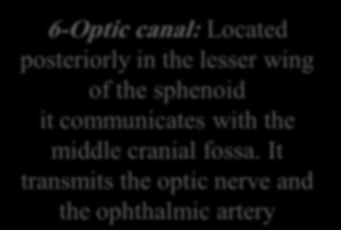 It transmits the lacrimal nerve the frontal nerve the trochlear nerve the oculomotor