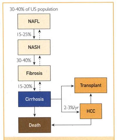 Natural history Clinical progression limited to those with fibrosis Spengler EK, Loomba R. Mayo Clin Proc. 2015. doi:10.