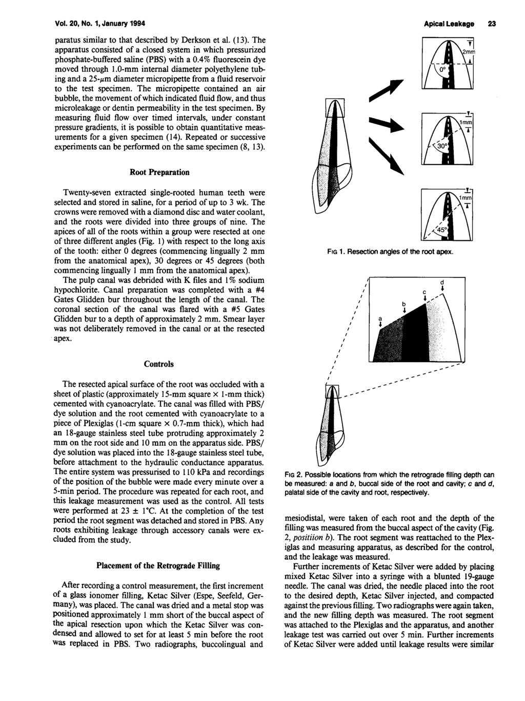 Vol. 20, No. 1, January 1994 Apical Leakage 23 paratus similar to that described by Derkson et al. (13).