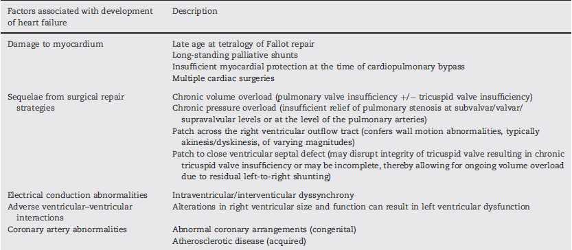 Factors that contribute to development of heart failure in the adult late