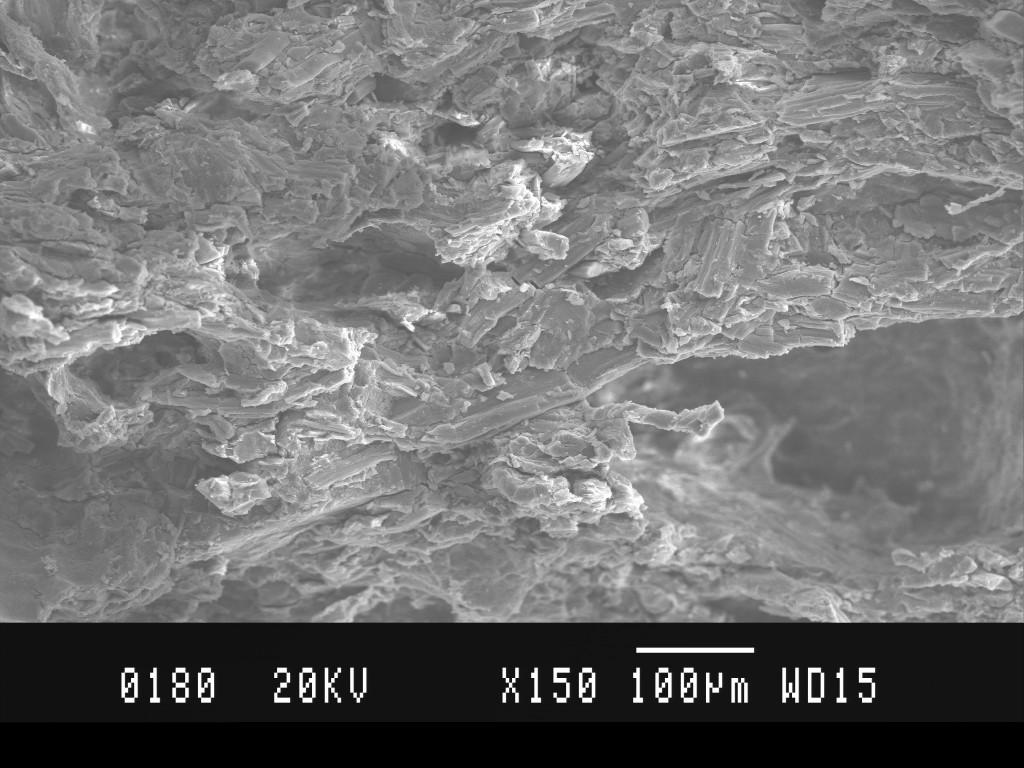 RESULTS The SEM photograph of tablet surface was shown in Figure 1 and the FTIR spectrum of the tablet blend (F5) was shown in Figure 2.