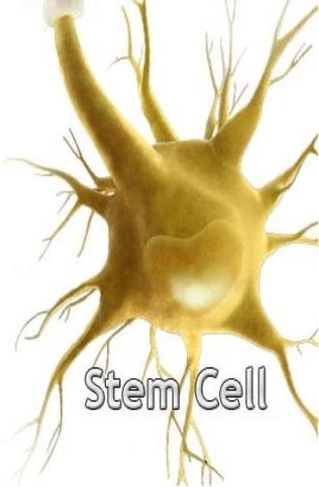 Clinical use of stem cells,