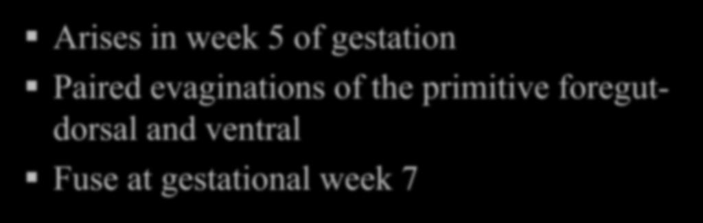 Pancreatic Embryology Arises in week 5 of gestation Paired