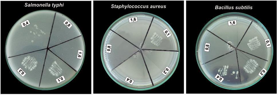 a b c Figure 2: Scanned pictures of MIC test of ethyl acetate fraction a. Bacillus subtilis (BS); b.staphylococcus aureus (SA); c. Salmonella typhi (ST) Table-2: MIC test results.