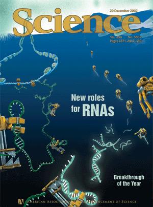 micrornas (mirna) and Biomarkers Small RNAs Make Big Splash mirnas & Genome Function Biomarkers