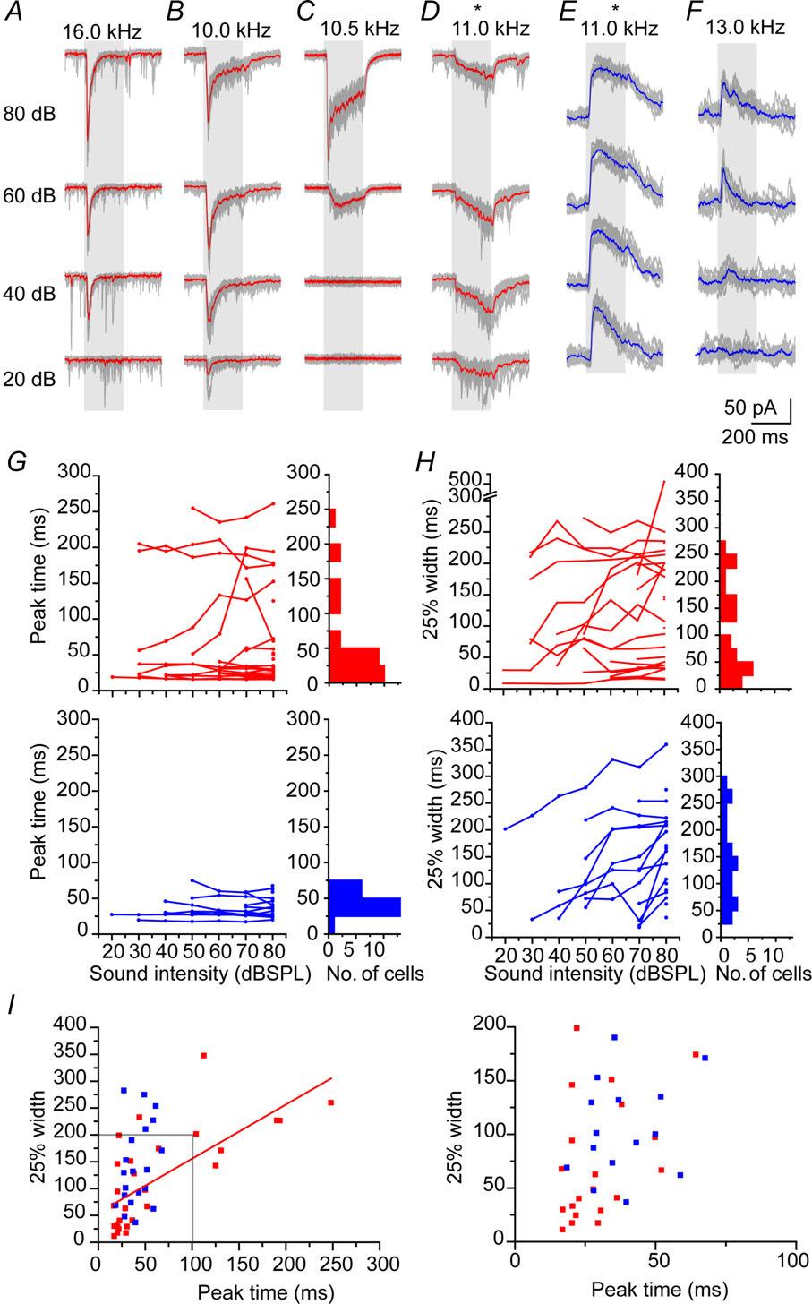 J Physiol 592.16 Asymmetric synaptic temporal interactions 3655 early-peaking transient seepscs (Fig. 2A)toearly-peaking sustained seepscs with longer latency peak times and durations (Fig. 2B, C).