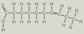 Label the molecules involved, the type of reaction and the types of bonds formed.