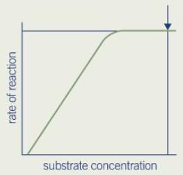 does the concentration of