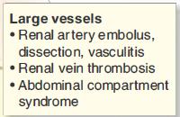 Urine eosinophils Low C3 Small vessels Vasculitis