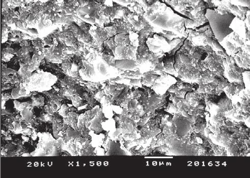 The mean particle size increased from 5-10 μm to 30 μm (Figs. 15-18).