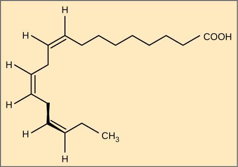 Figure 3.17 Alpha-linolenic acid is an example of an omega-3 fatty acid.