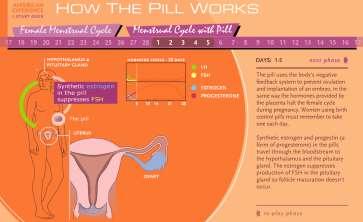 More Menstrual Cycle Animations Video and doctors advice from NHS UK: http://www.nhs.