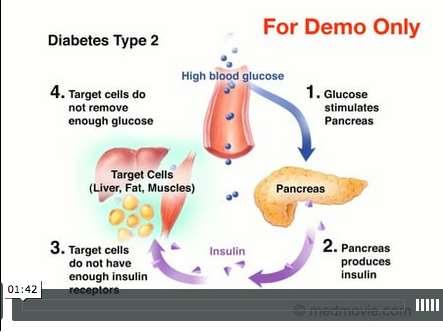 respectively to control blood glucose