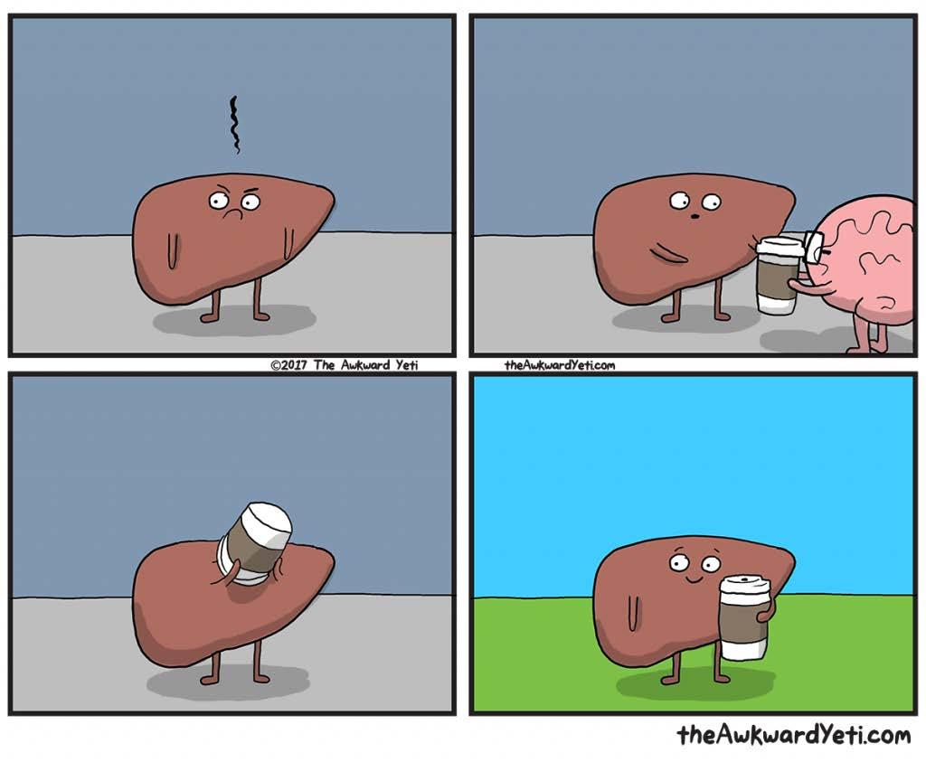 Liver Fibrosis and coffee?