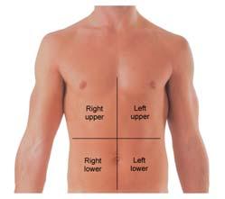 Abdominal Quadrants Respiratory System All body