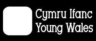 Welsh Government consultation on 'More than just words.follow-on Strategic Framework for Welsh Language Services in Health, Social Services and Social Care.