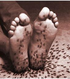 Clinical Features Onset: Gradual or insidious Symptoms usually start in the toes - progress proximally to feet and legs In more severe cases,