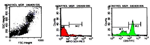 and (b) Superoxide (MSR) in