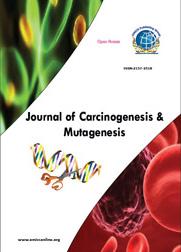 Journal of Cancer