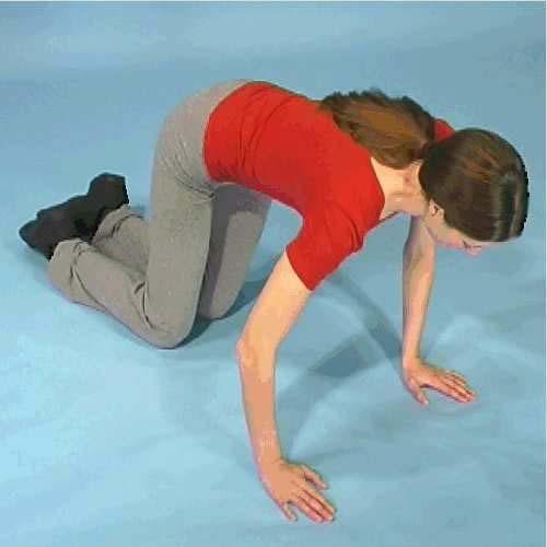 Stage 1 Exercise 7 Crawling position. Bring the shoulder blade down and back.