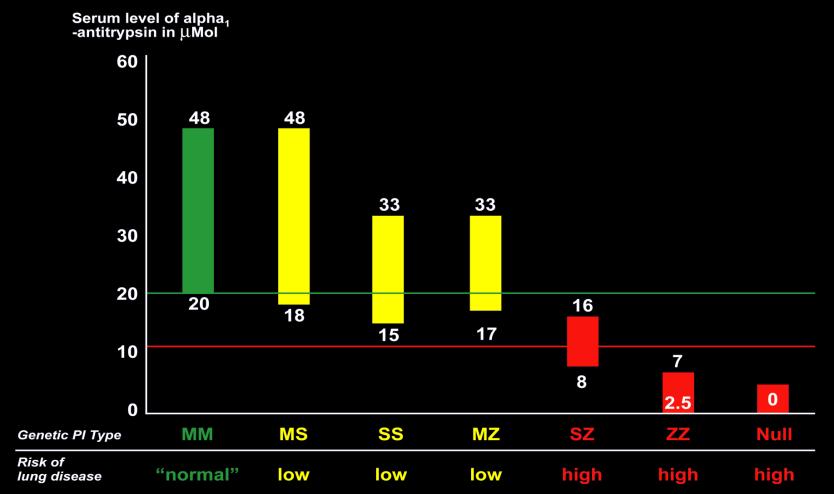 Range of Serum Levels by Phenotype Bottom normal level Protective threshold The green line denotes the bottom normal level of