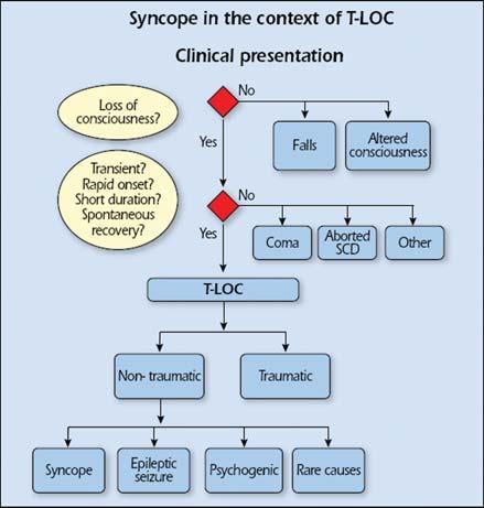 ESC Guidelines 2635 The literature on syncope investigation and treatment is largely composed of case series, cohort studies, or retrospective analyses of already existing data.
