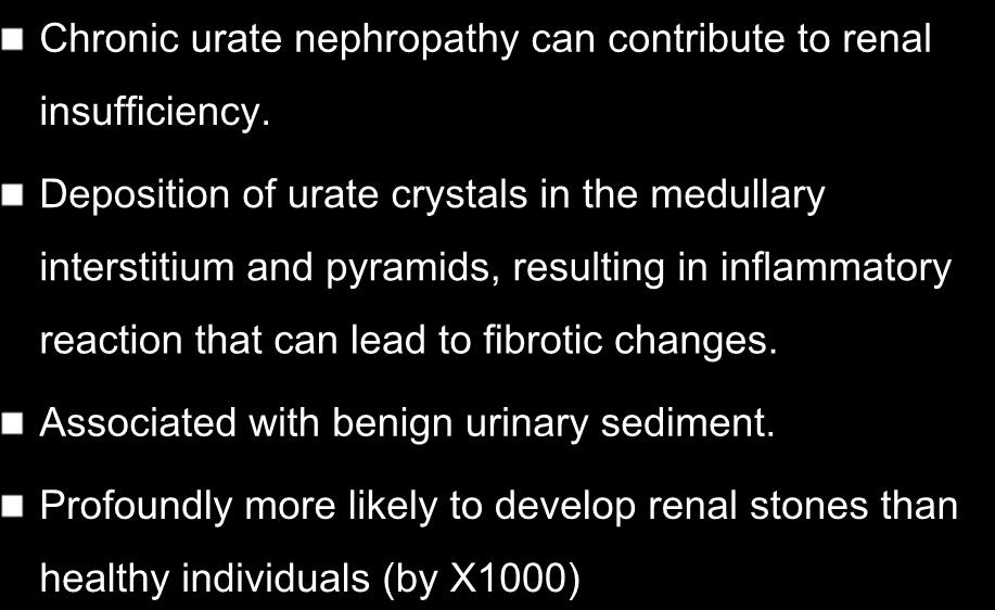 Gout and renal disease Chronic urate nephropathy can contribute to renal insufficiency.