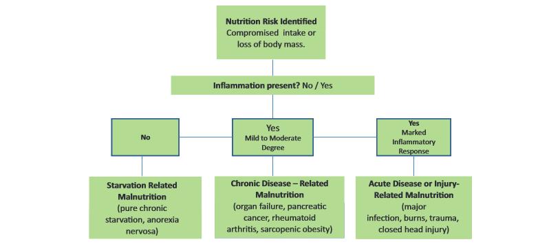 16 the time of the nutrition assessment. The three categories of malnutrition, their chronicity, and whether inflammation would be present are displayed in figure 1 2.