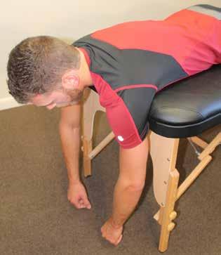 Shoulder Shoulder stabilization - The shoulder is a vulnerable joint for injuries due to its many muscles and boney structures that make up this joint.