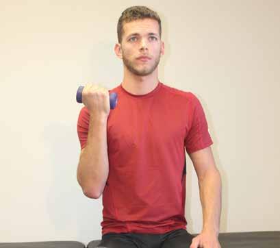 Shoulder Arnold Press A. Seated or standing, DB at shoulder, palm facing in B.