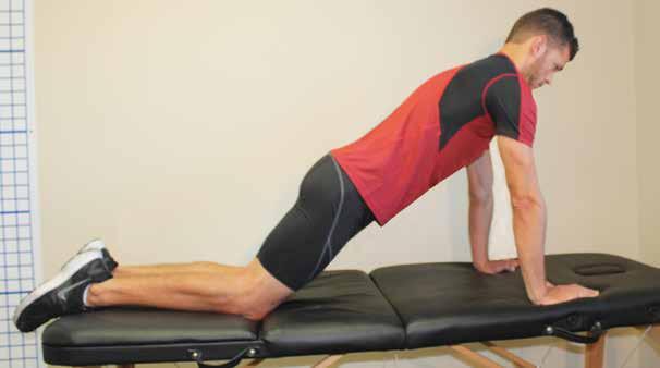 Begin in a kneeling position with hands directly under shoulders.