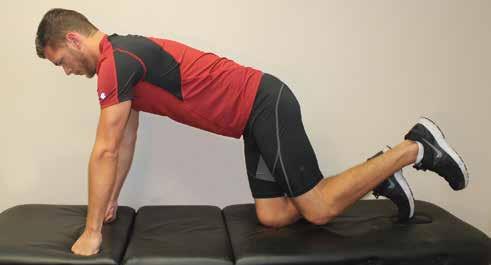Hips To perform at its optimum, the hip joint needs strength, flexibility and power.
