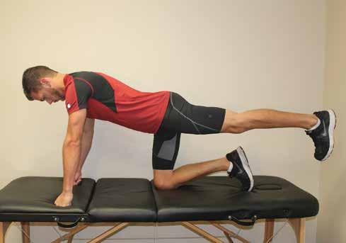 Extend one leg back and lift the leg toward the ceiling. Hold for 2 seconds and lower leg. Caution: hold the core muscles tight so there is no movement in the spine.