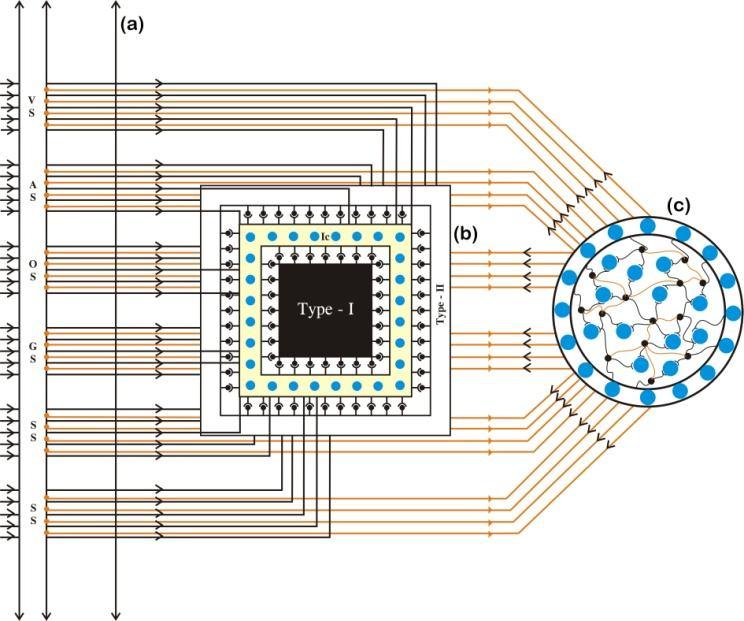 International Journal of Scientific & Engineering Research Volume 4, Issue 2, February-2013 5 6. NEURONAL BRIDGE: It is an adapted type of neural networks.