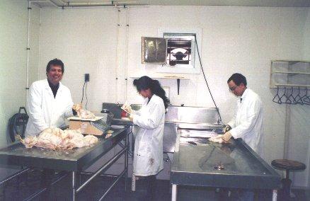 8. Disease diagnosis Tax-supported laboratories were established many years ago in most states in the US for avian disease diagnosis.