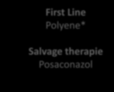 Polyene* Salvage therapie Posaconazol