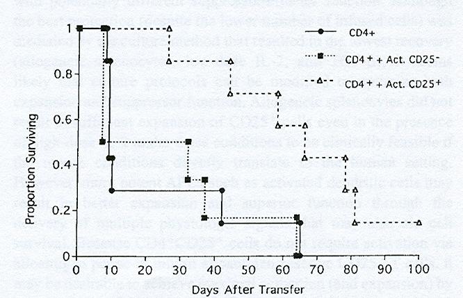 Ex Vivo Expanded and Activated CD25 + Cells Inhibit GVHD Dose = 2 x 10 6 fresh CD4 + T cells +/- 2 x 10 6 activated cells Donor = B6 Recipient = non-irr., NK-depleted BALB/c SCID P = 0.