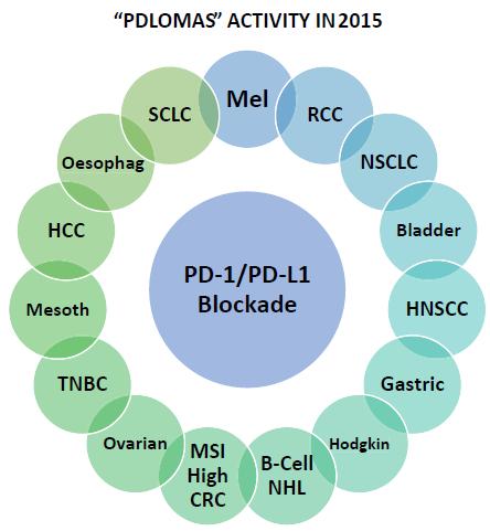 PD-1/PD-L1 Inhibition: Established Immunotherapy with