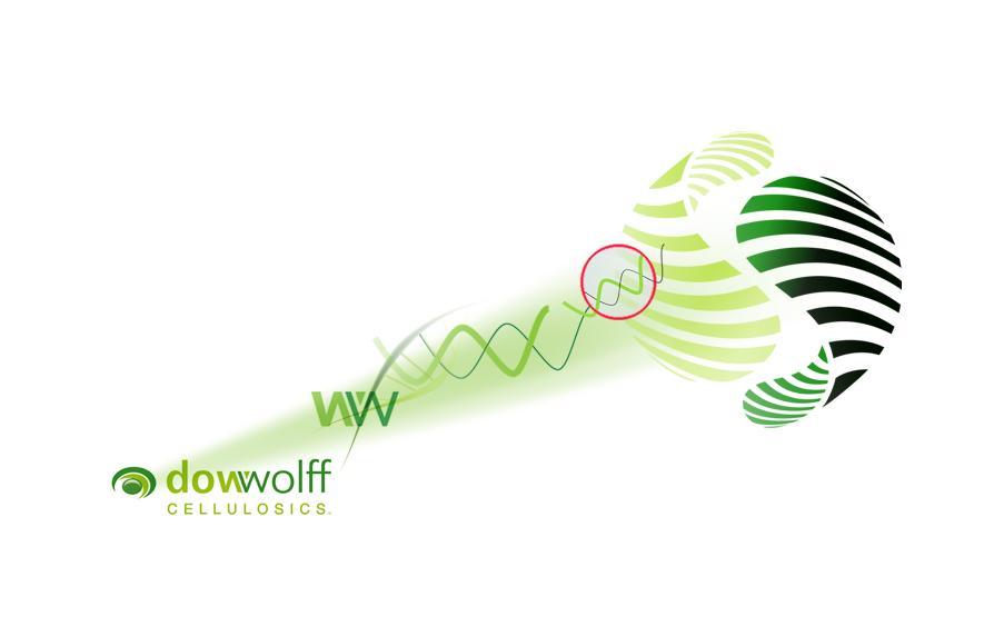 Cellulose Derivatives in Food Applications Dow Wolff