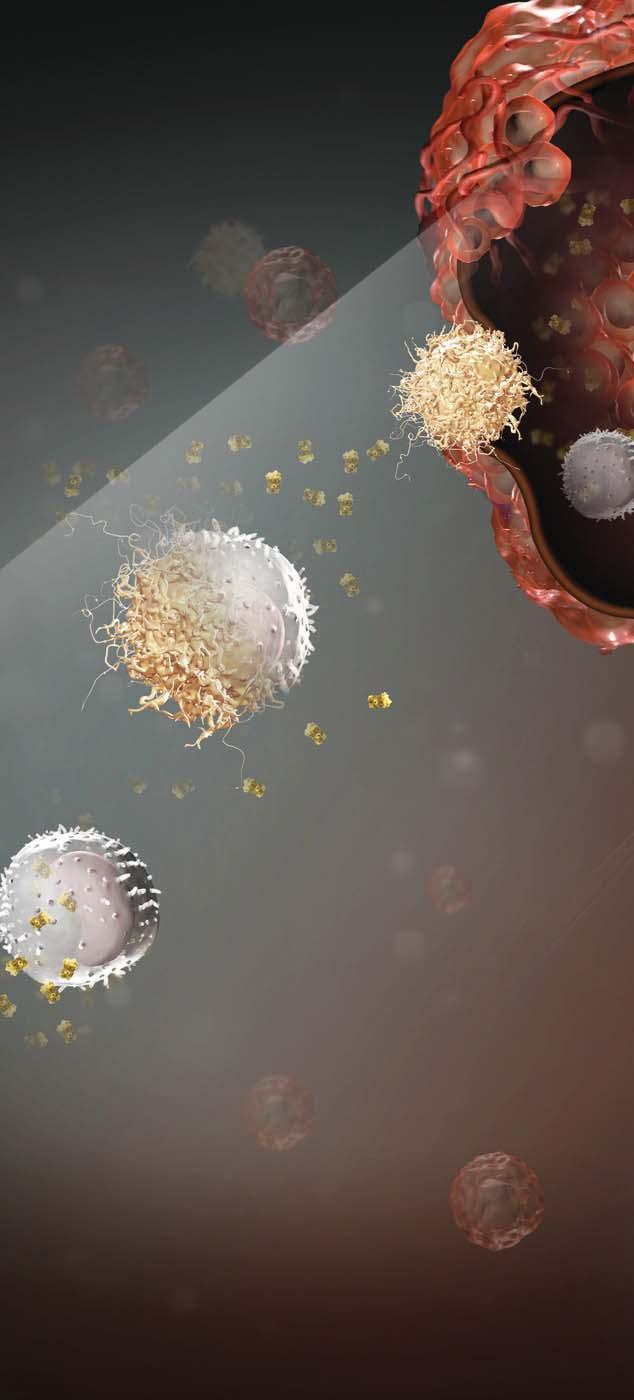 Direct contact between cancer cells and s can facilitate tumor metastasis, wherein pre-metastatic tumor cells direct recruitment through the secretion of numerous chemokines or cytokines.