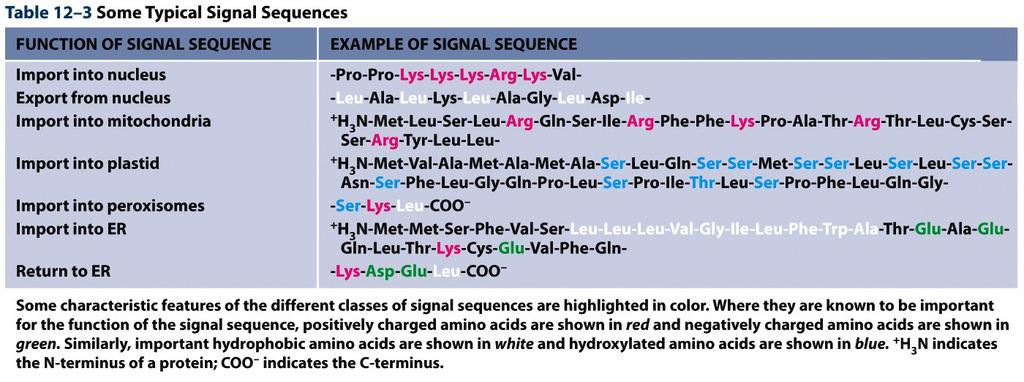 Signal sequence
