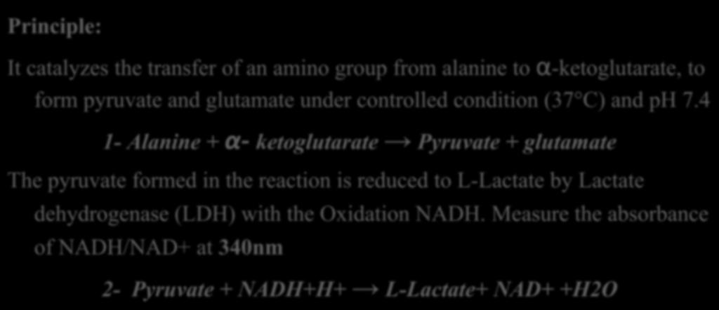Alanine Transaminase Assay Principle: It catalyzes the transfer of an amino group from alanine to α-ketoglutarate, to form pyruvate and glutamate under controlled condition (37 C) and ph 7.