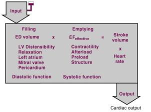 Cardiol 2004;43:317 27 5 6 Diastolic Heart Failure 3 ESSENTIAL CRITERIA : Systolic dysfunction Diastolic dysfunction 1.