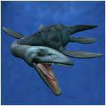 Suggest how the fossil shown in Figure 1 may have been formed after the animal died................... (3) (c) Figure 2 shows what scientists think a living Plesiosaur may have looked like.
