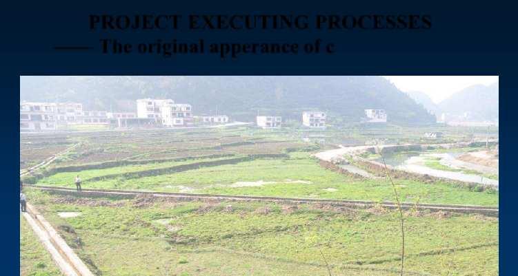 PROJECT EXECUTING PROCESSES The original apperance of