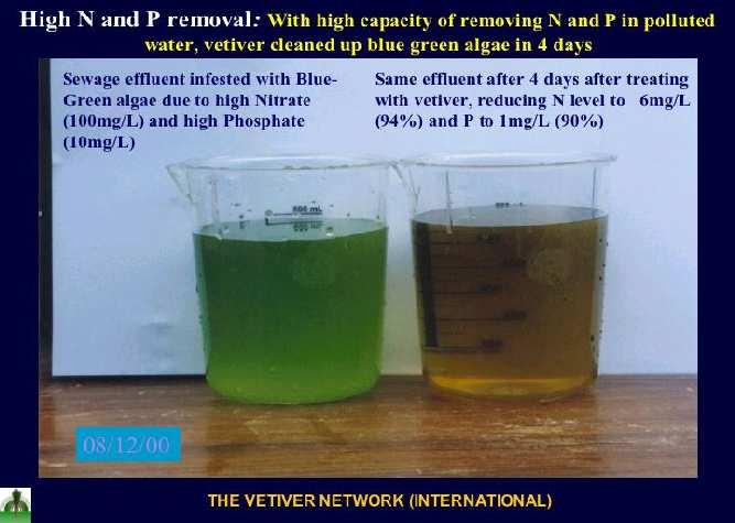 N AND P REMOVAL HIGH CAPACITY FOR REMOVING N AND P FROM POLLUTED WATER.