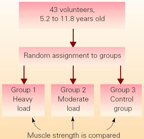 Case Study 3.2 Kids and Weight Lifting Is weight training good for children? If so, is it better to lift heavy weights for few repetitions or moderate weights more times?