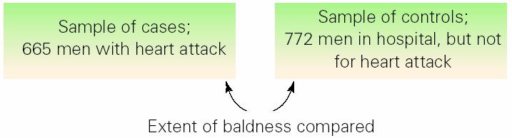 Case Study 3.4 Baldness and Heart Attacks Men with typical male pattern baldness are anywhere from 30 to 300 percent more likely to suffer a heart attack than men with little or no hair loss at all.