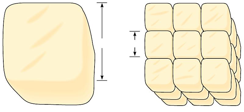3 Surface area of one large cube = 5,400 µm 2 Total surface area of 27 small cubes = 16,200 µm 2 Common Cell Features ALL Cells share common structural features, including: an outer boundary called